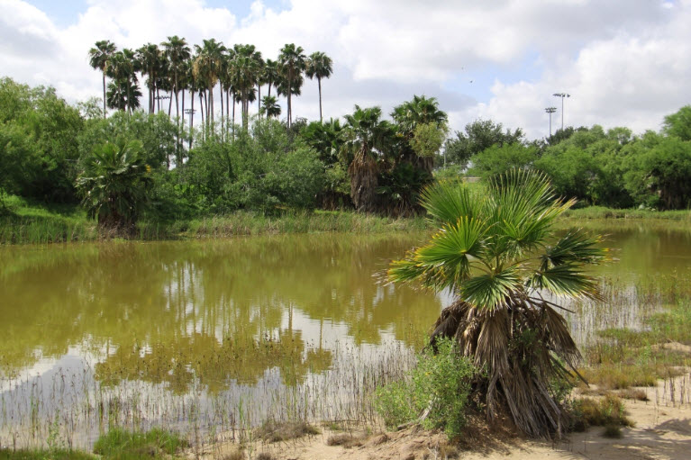 McAllen Nature Center, United States